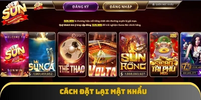 Cách đặt lại mật khẩu